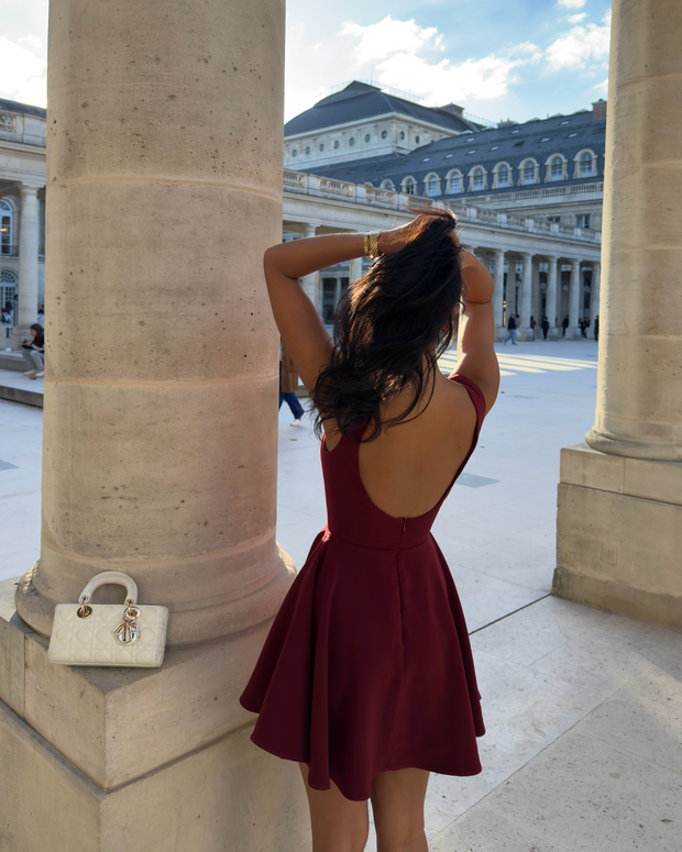 The Diana Mini Dress in wine red🍷